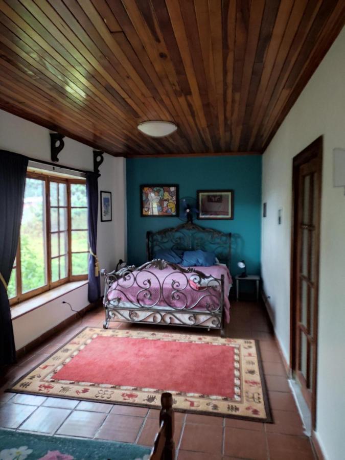 La Jungla Experience Lodgings - Vacation Home And Apartment Boquete Zewnętrze zdjęcie